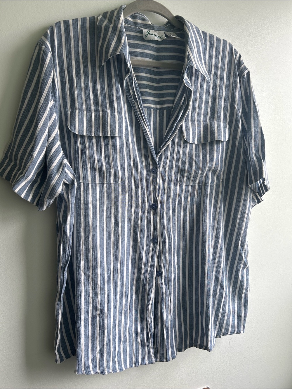 Joanna Blue and White Striped Short-Sleeve Button Front Blouse